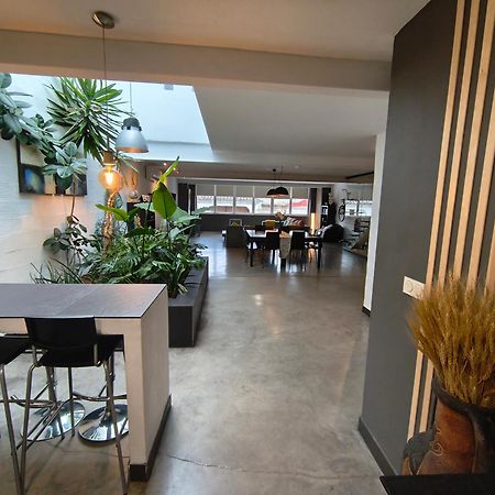 Apartamento Loft Carrasketa Alfafara Exterior foto