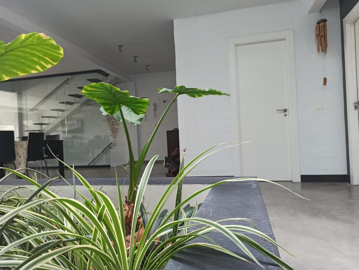 Apartamento Loft Carrasketa Alfafara Exterior foto